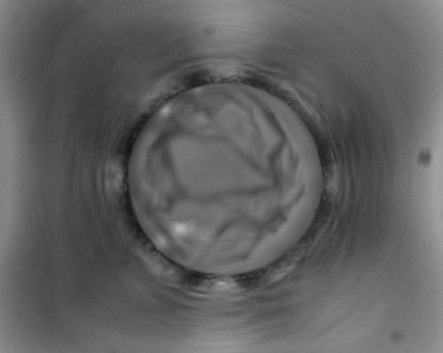 X0000100950715200807221121