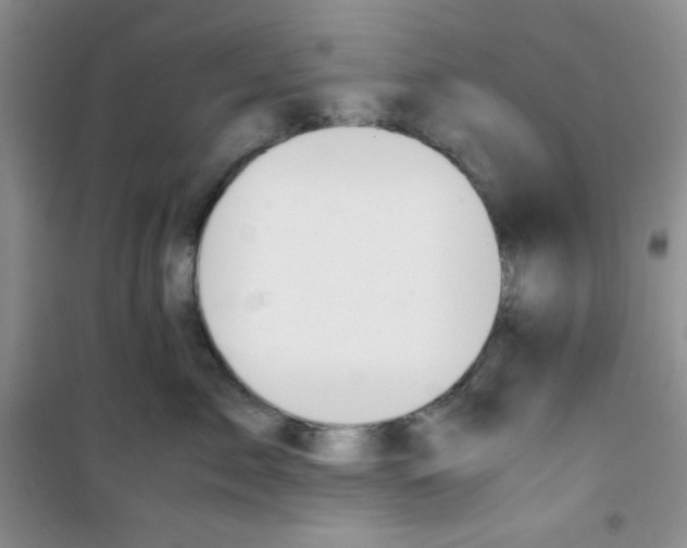 X0000100950717200807221121