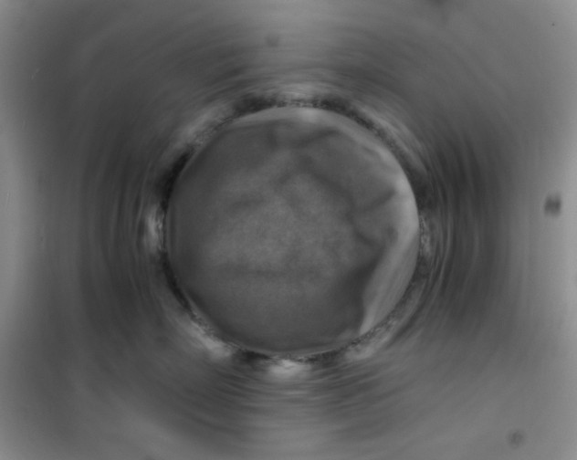 X0000100950718200807221121