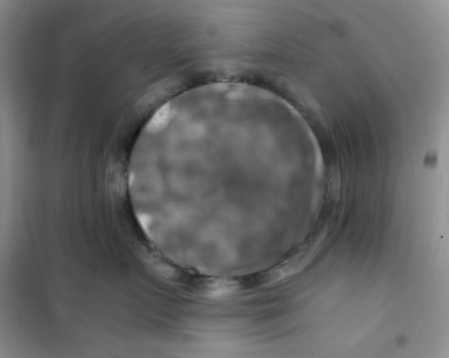 X0000100950719200807221121