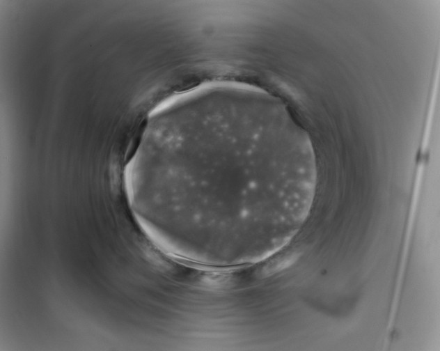 X0000100950720200807221121