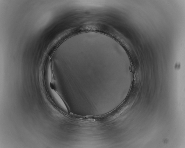 X0000100950722200807221120