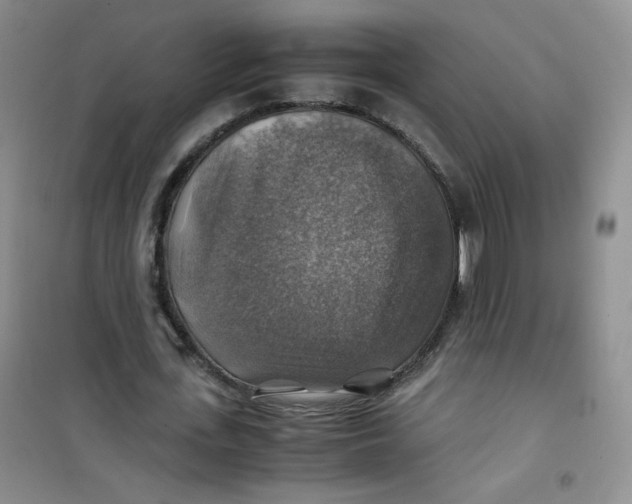 X0000100950723200807221120