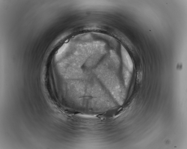 X0000100950724200807221120