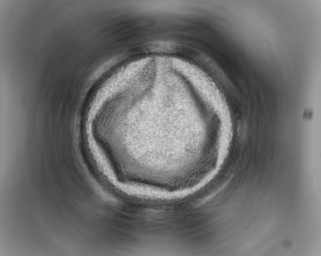 X0000100950725200807221120