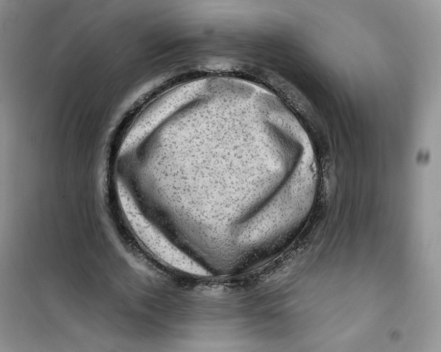 X0000100950728200807221120