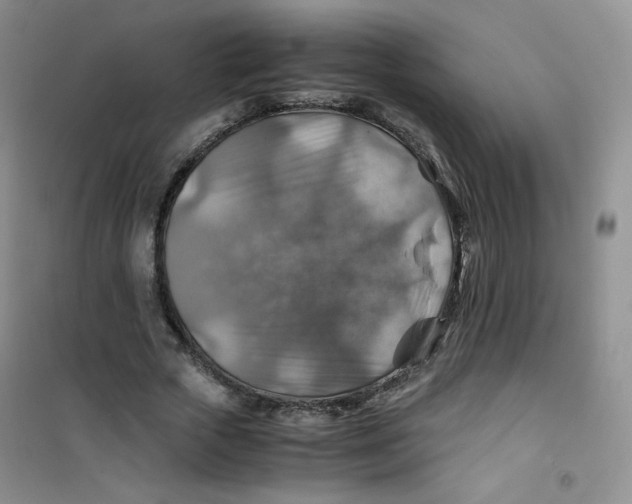 X0000100950729200807221120