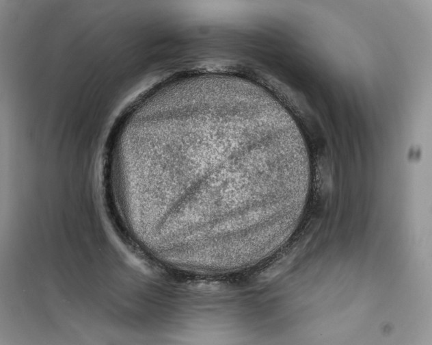 X0000100950730200807221120