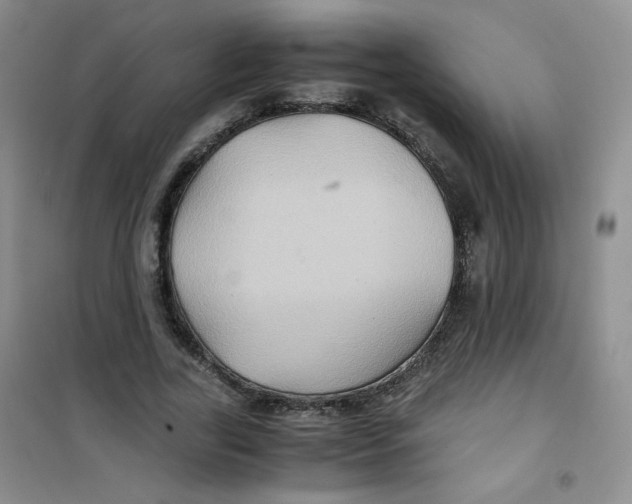 X0000100950731200807221120