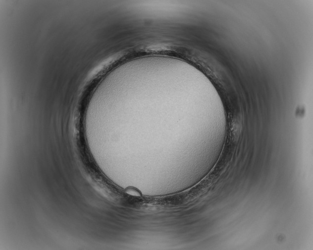 X0000100950732200807221120