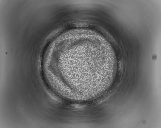 X0000100950733200807221120