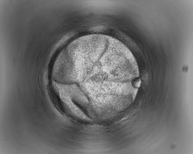 X0000100950734200807221120