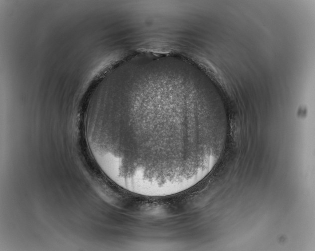 X0000100950735200807221120