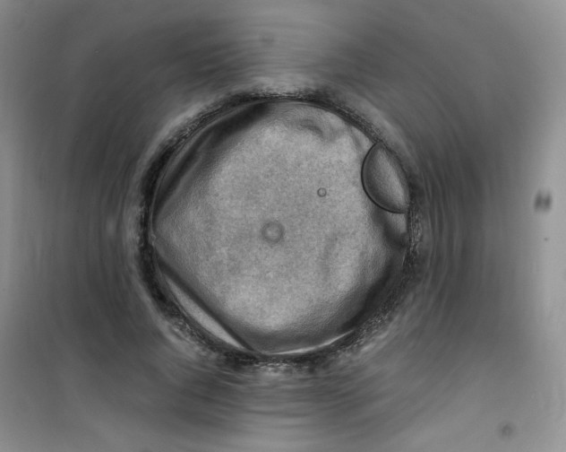 X0000100950736200807221120