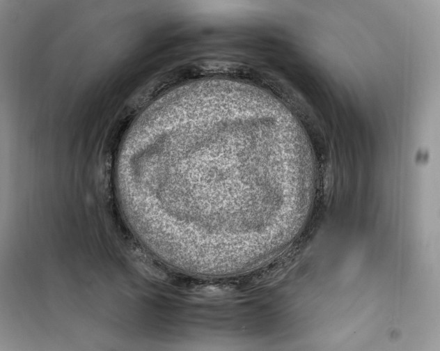 X0000100950737200807221120