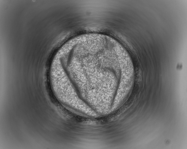 X0000100950738200807221120