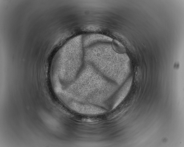 X0000100950739200807221120