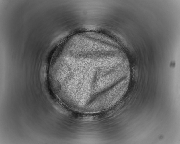 X0000100950740200807221120