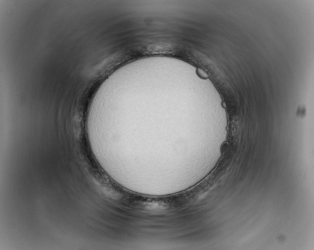 X0000100950741200807221120