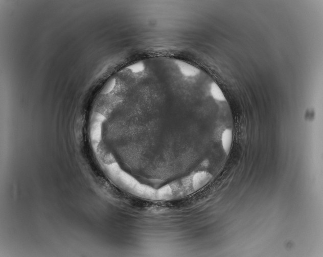 X0000100950742200807221120