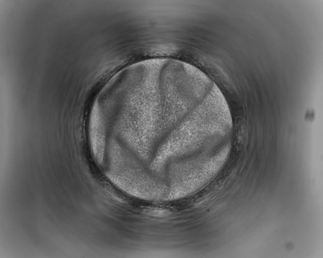 X0000100950743200807221120