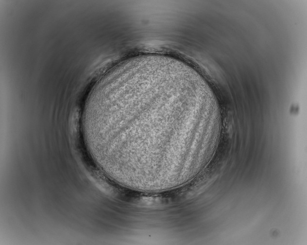 X0000100950744200807221120