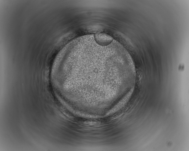 X0000100950745200807221120