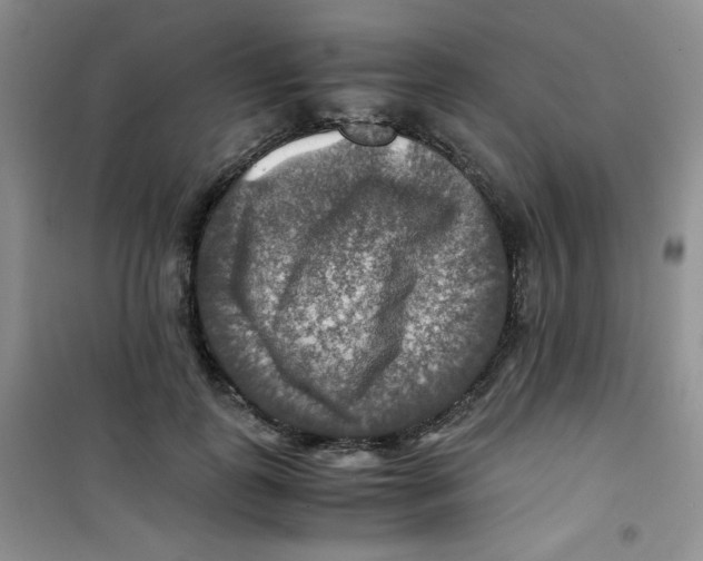 X0000100950747200807221120