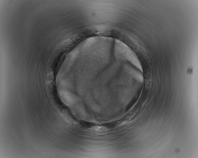 X0000100950748200807221120