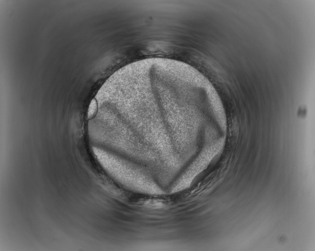 X0000100950751200807221121