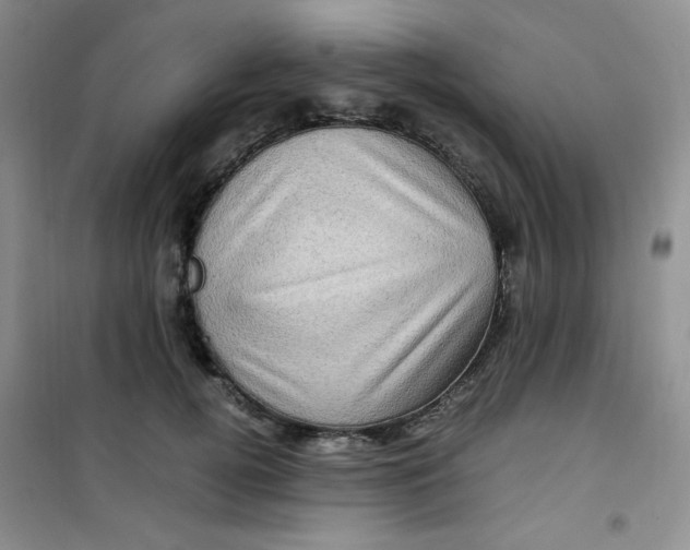 X0000100950752200807221121