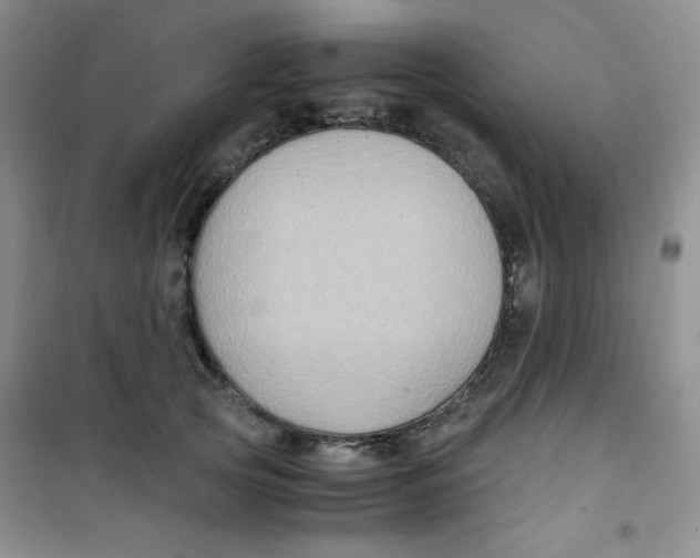 X0000100950753200807221121