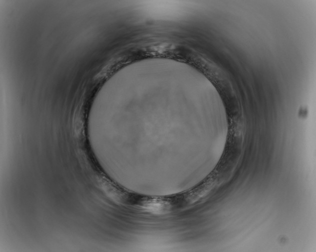 X0000100950754200807221121