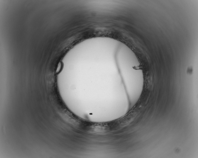 X0000100950756200807221121