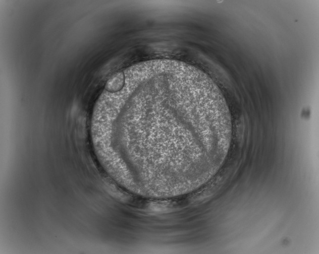 X0000100950757200807221121