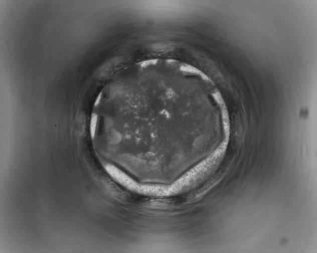 X0000100950758200807221121