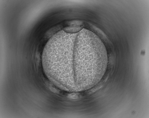 X0000100950761200807221121