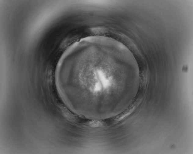 X0000100950762200807221121