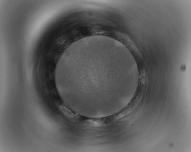 X0000100950763200807221121