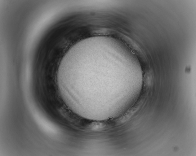 X0000100950764200807221121