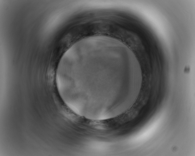 X0000100950767200807221121