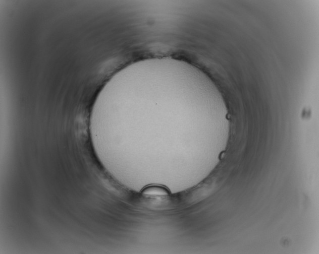 X0000100950768200807221121