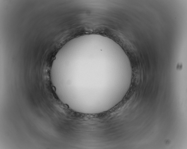 X0000100950770200807221120