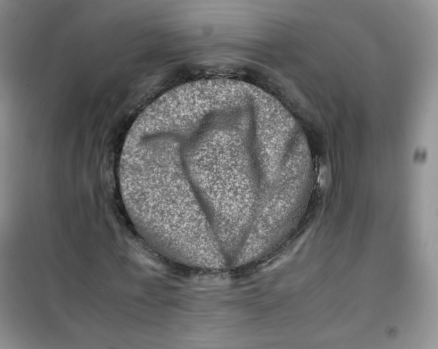 X0000100950771200807221120