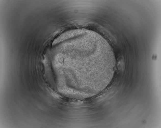 X0000100950772200807221120