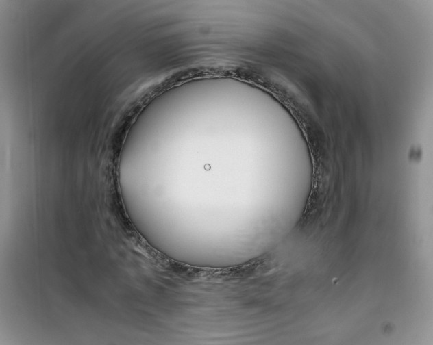 X0000100950773200807221120