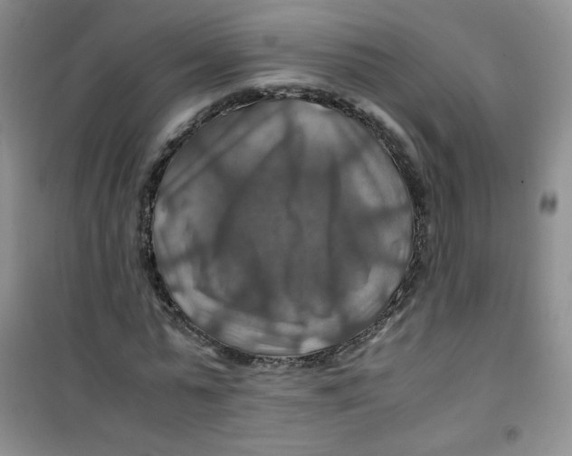 X0000100950775200807221120