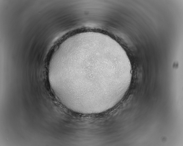 X0000100950776200807221120