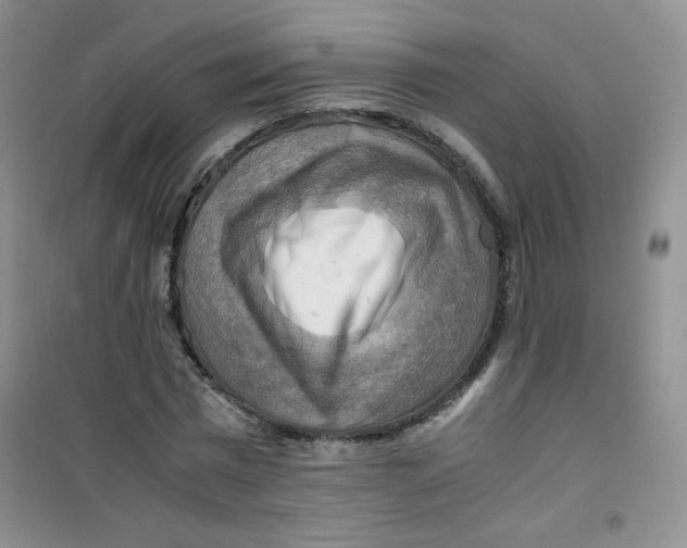 X0000100950777200807221120