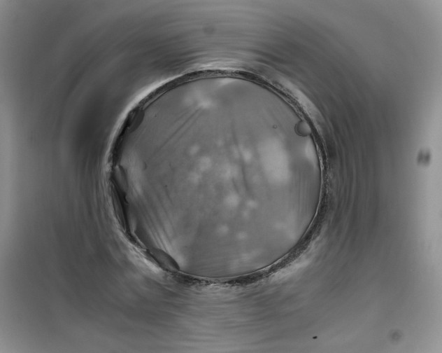 X0000100950779200807221120